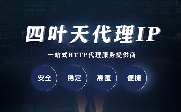 【大理代理IP】代理ip客户端使用教程