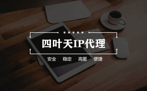 【大理代理IP】如何快速搭建代理IP？怎么检查代理的效果？