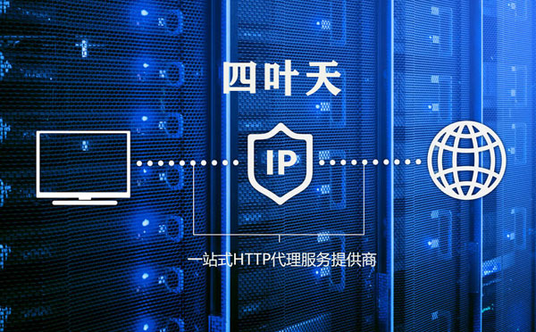 【大理代理IP】代理IP的主要用途和使用注意事项